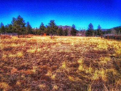 Stonewall Meadows Lot for Sale in Stonewall, Colorado