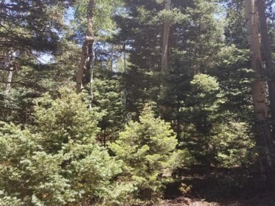 1.55 Acre Lot for Sale in Forbes Park
