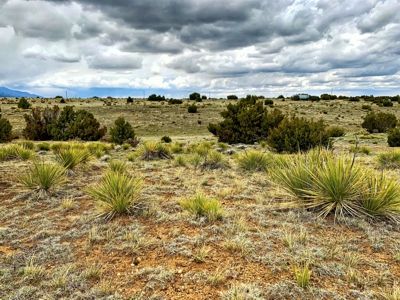 Home for Sale at 4.17 acre Getaway in Rio Cucharas Subdivision in Walsenburg, CO