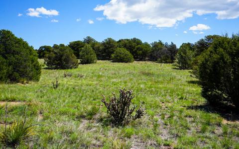 Lot 2.32 Acres for Sale in Navajo Ranch, Walsenburg