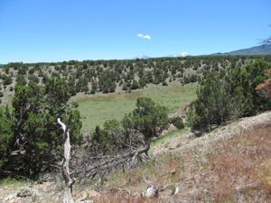 Well Crafted Ranch Property for sale in Cuchara, Colorado