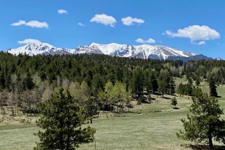 Properties for sale in Teller County, Colorado