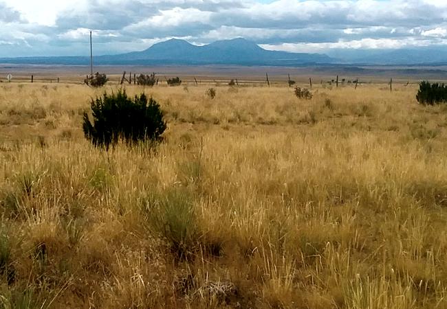 Vacant Land for sale in Fort Garland, Colorado