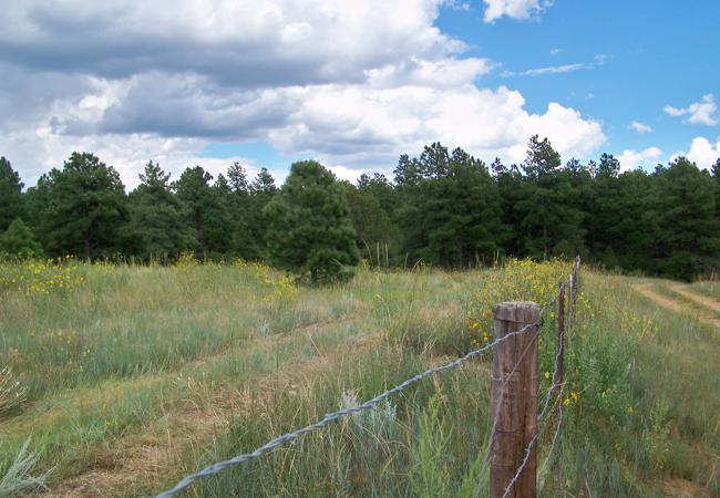 Vacant Land for sale in Weston, Colorado