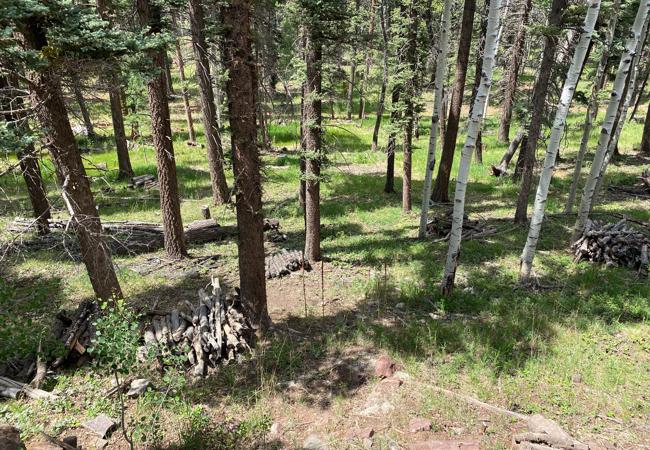 Vacant Land for sale in Cuchara, Colorado