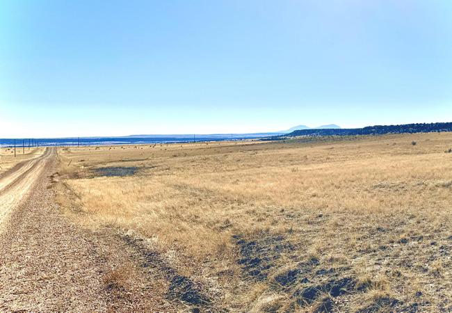 Vacant Land for sale in Rye, Colorado