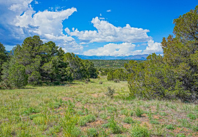 Vacant Land for sale in Navajo Ranch, Colorado