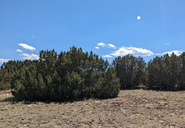 Vacant Land for sale in Rio Cuchara, Colorado