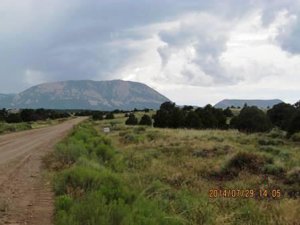 Colorado Land & Grazing Lot for Sale in Gardner