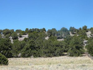 Navajo Ranch lot for sale near Walsenburg