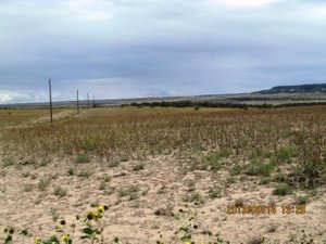 Ghost River Ranch lot for sale near Rye
