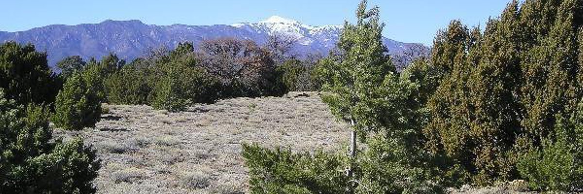 Lot 7 Twin Lakes Lot for Sale in Walsenburg