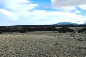 Colorado Land and Grazing Lot for Sale in Gardner