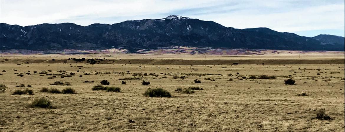 Colorado Land & Livestock lot for sale in Walsenburg