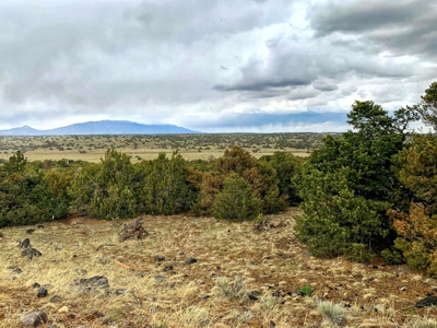 Home for Sale at 3.7 acre Getaway in Rio Cucharas Subdivision in Walsenburg, CO