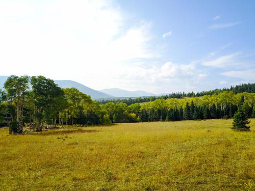 Cuchara Pass Ranch Lot for Sale in Weston