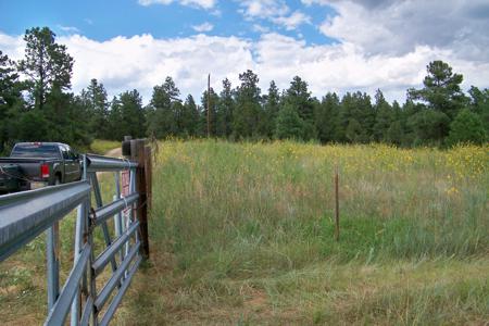 Hunting Property for Sale in Weston, Colorado