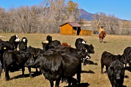 Magnificent Turnkey Ranch for sale in La Veta, Colorado