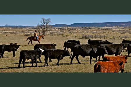 Magnificent Turnkey Ranch for sale in La Veta, Colorado
