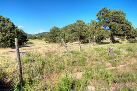 Remote and Stunning Mountain Property for sale in La Veta