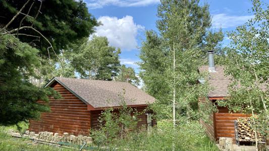 Pass Creek Wildlife Haven Home for Sale in La Veta, Colorado
