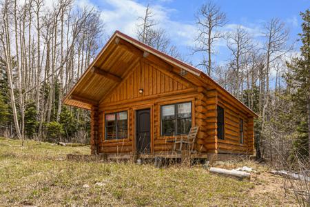 Amish Built Log Home with an Log Guest Cabin for sale in Weston, Colorado